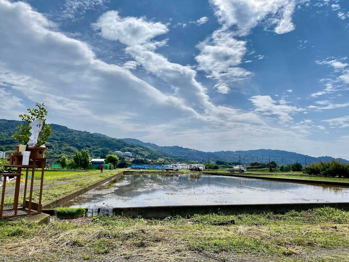 鏡餅づくり